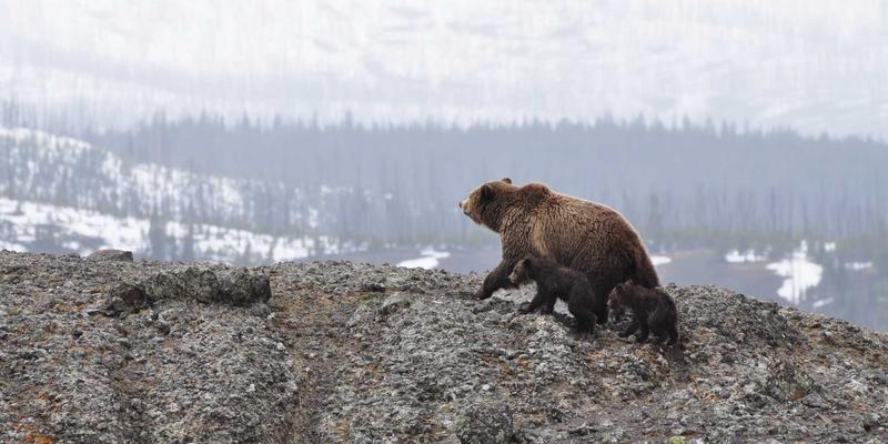 OKAYA Electric24：引领绿色能源解决方案，赋能电气化未来