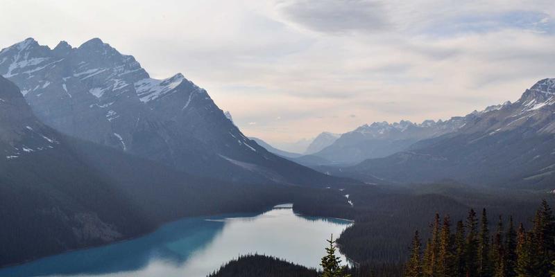 OKAYA Electric79：驱动、电气产品与人机界面的创新融合