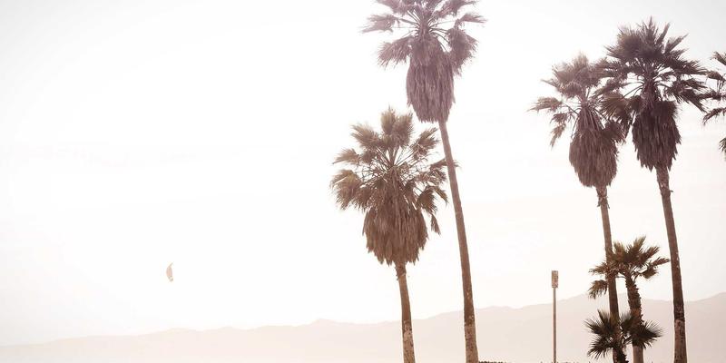 OKAYA Electric92：驱动工业自动化的核心电气解决方案