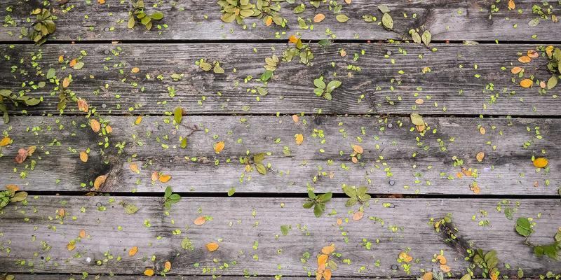 OKAYA Electric深度评测：在工业自动化浪潮中，其HMI与电机解决方案表现如何？