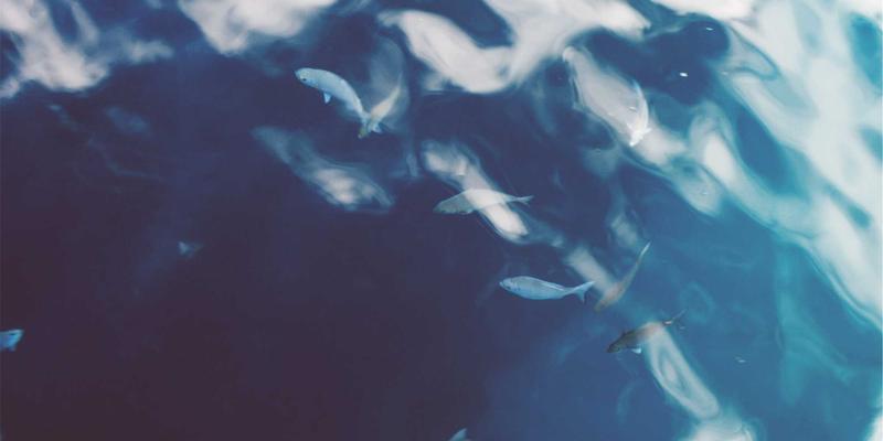 OKAYA Electric 电动汽车充电桩安装指南与成本分析：驱动未来出行的关键控制系统