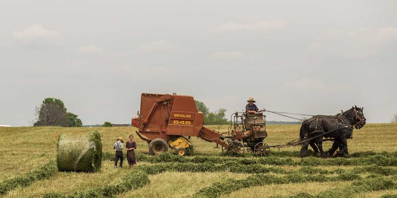 工业用 OKAYA UPS 选购指南：如何为您的电气设备、驱动器和PLC系统提供可靠电力保障