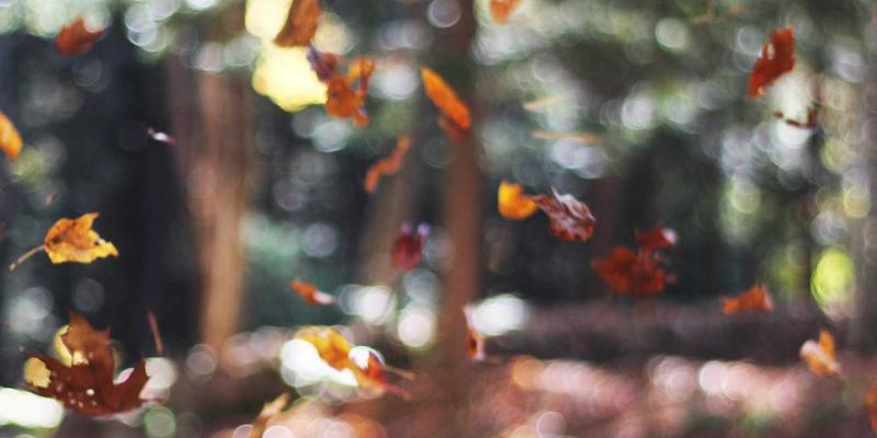 智能换电网络的核心：OKAYA如何通过HMI、PLC与配电技术赋能印度电动两轮车革命