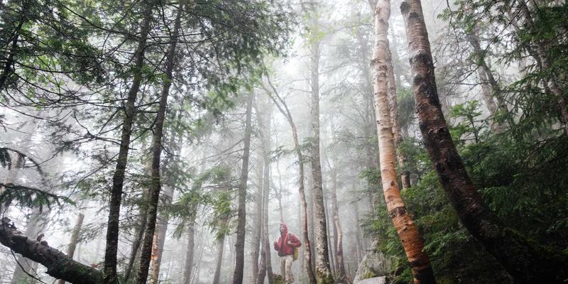 赋能未来工业：OKAYA定制化电池解决方案如何驱动自动化与绿色能源革命