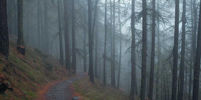 驱动未来：OKAYA定制化电池组如何为特种电动车提供长续航与高功率解决方案