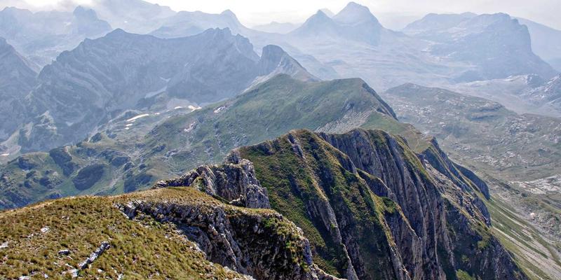 驾驭未来动力：OKAYA Electric在驱动与控制系统领域的创新趋势